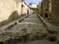 [Count Muzzio Tutavilla's water channel  - click to enlarge]